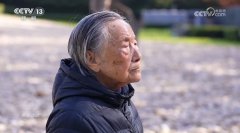 南京大屠杀和731部队罪行再